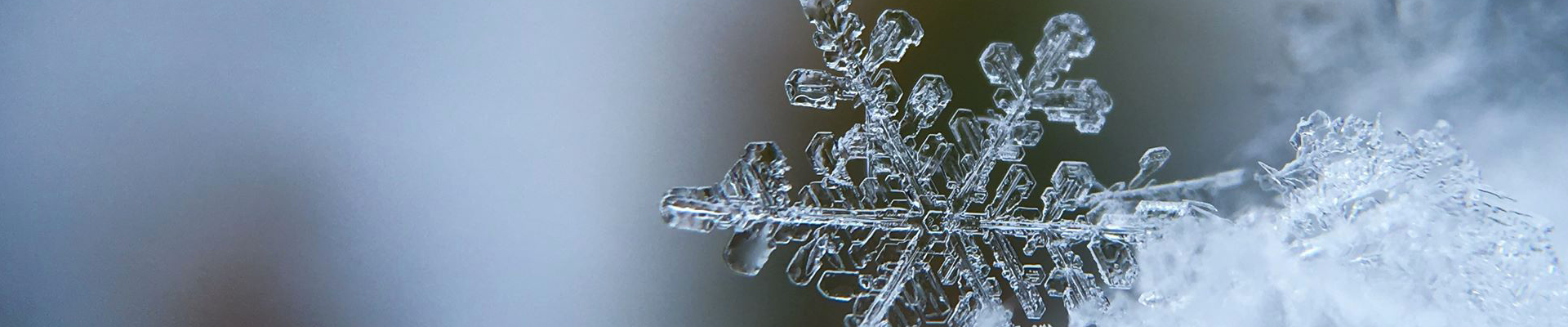 Snow Creative Agency